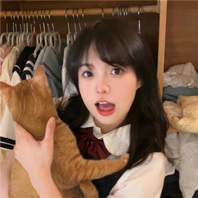 洛迪